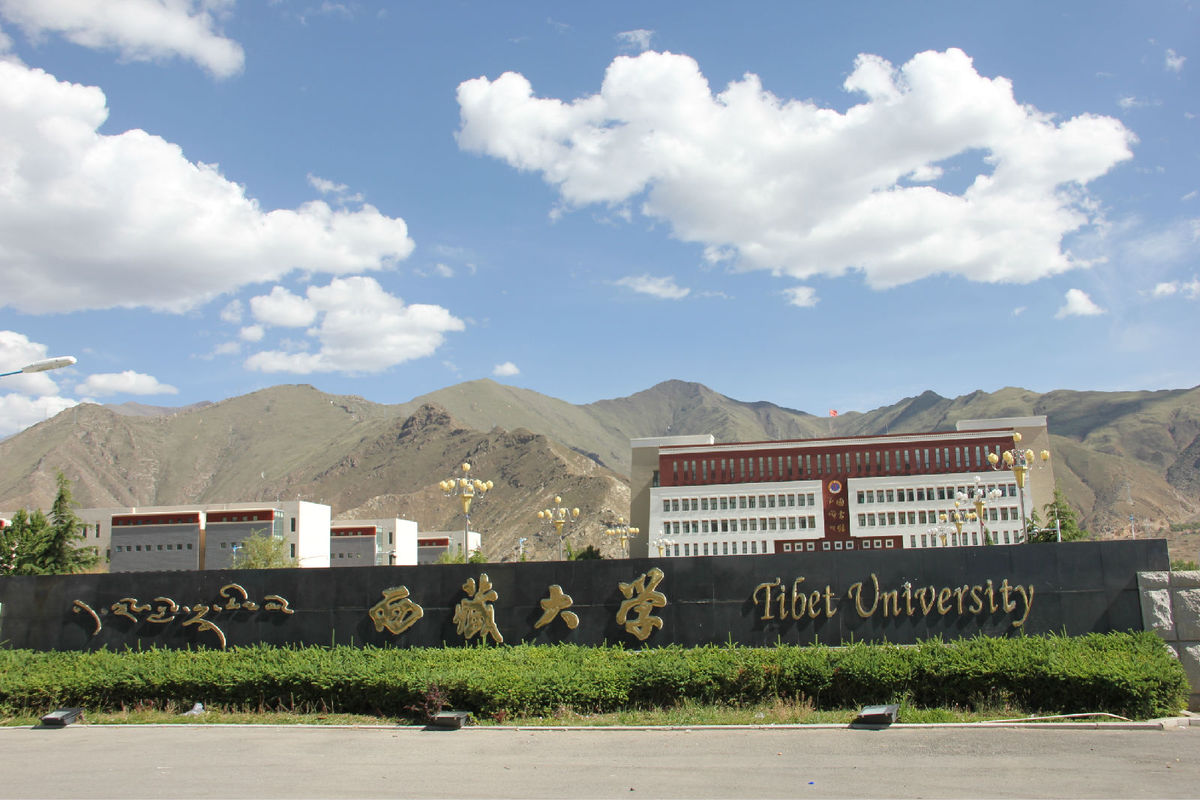 L’Université du Tibet a tenu une soirée du Nouvel An pour les enseignants et les étudiants internationaux