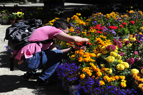 Admiration des fleurs de Norbu Lingka au jour national