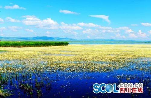 Le Parc des terres humides de Ruoergai du Sichuan a été promu au rang national