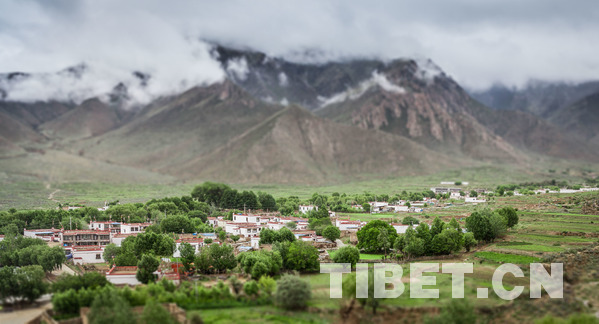 Le premier Festival de floraison des pêchers s’ouvrira dans le village de Dadong de Lhassa en mai