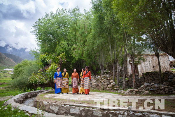 Le premier Festival de floraison des pêchers s’ouvrira dans le village de Dadong de Lhassa en mai