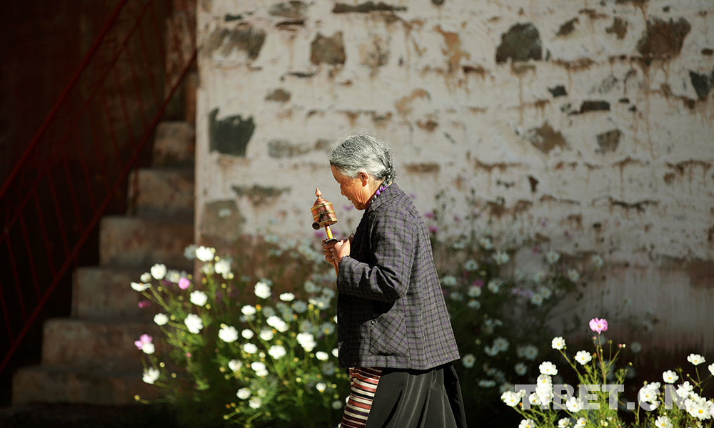 Les fleurs kelsang du monastère Sangngak