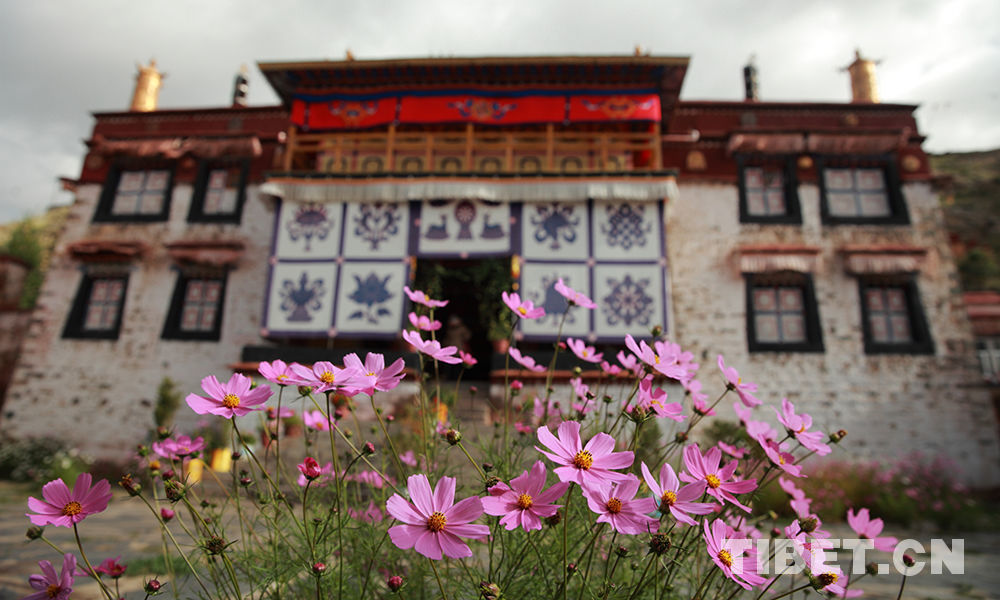 Les fleurs kelsang du monastère Sangngak