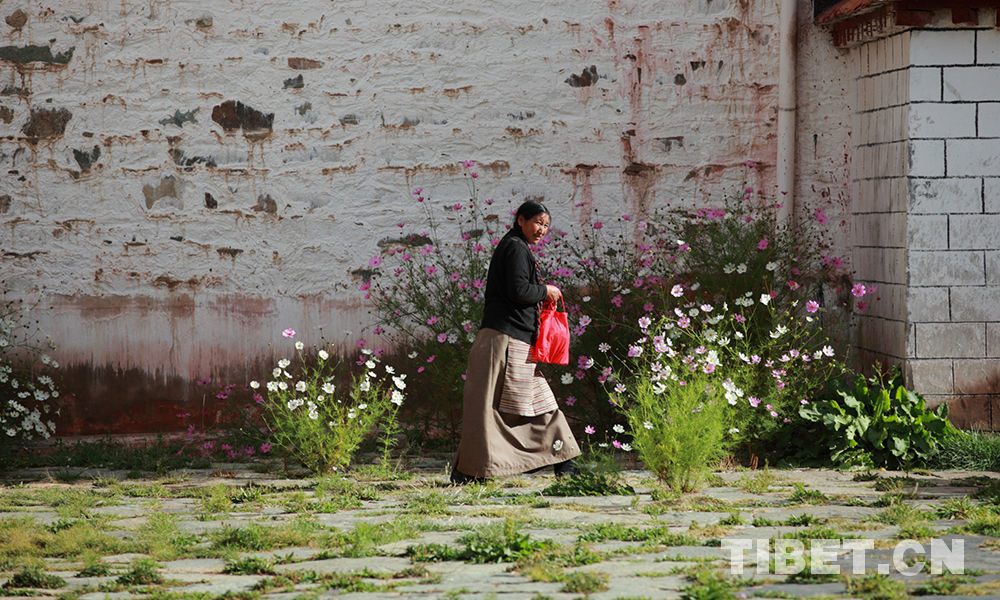 Les fleurs kelsang du monastère Sangngak