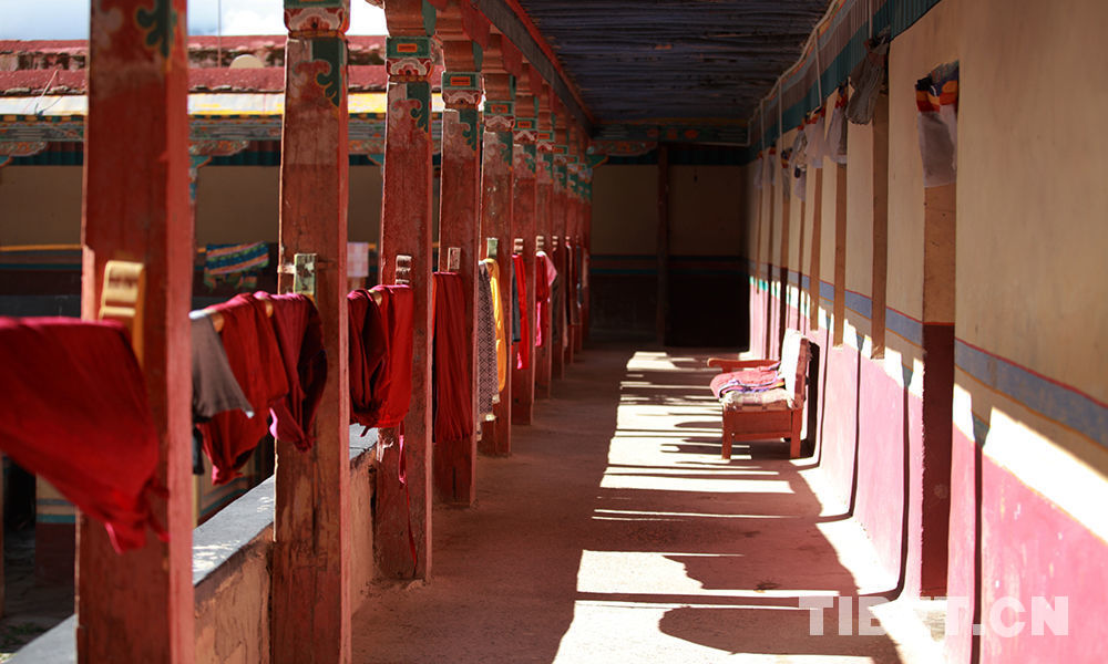 Les fleurs kelsang du monastère Sangngak