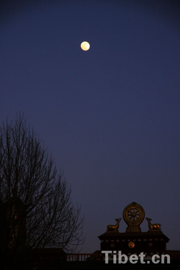 La lune du haut plateau