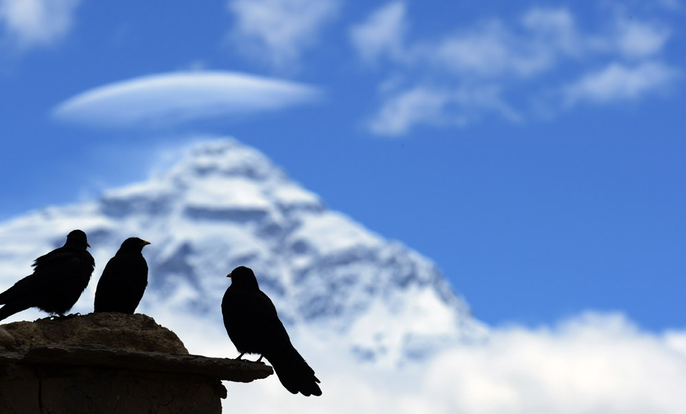 Le majestueux mont Qomolangma