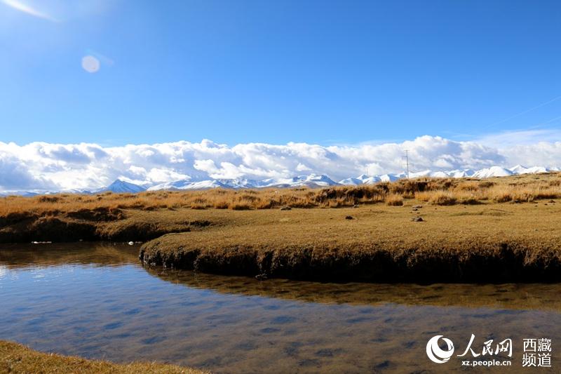 La prairie Bangoin du lac Namtso