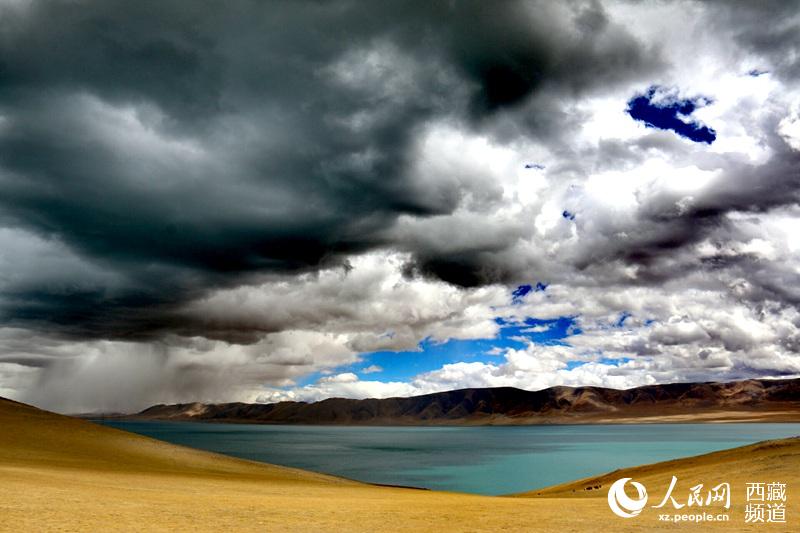 La prairie Bangoin du lac Namtso