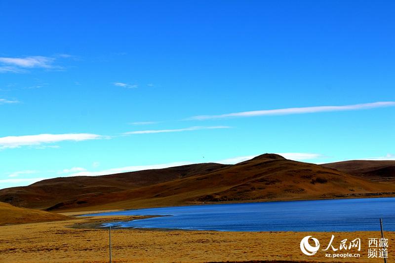 La prairie Bangoin du lac Namtso