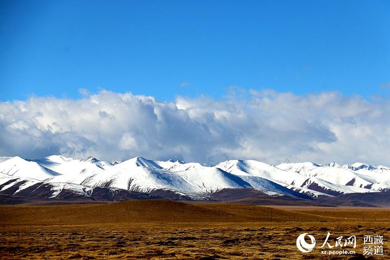 La prairie Bangoin du lac Namtso