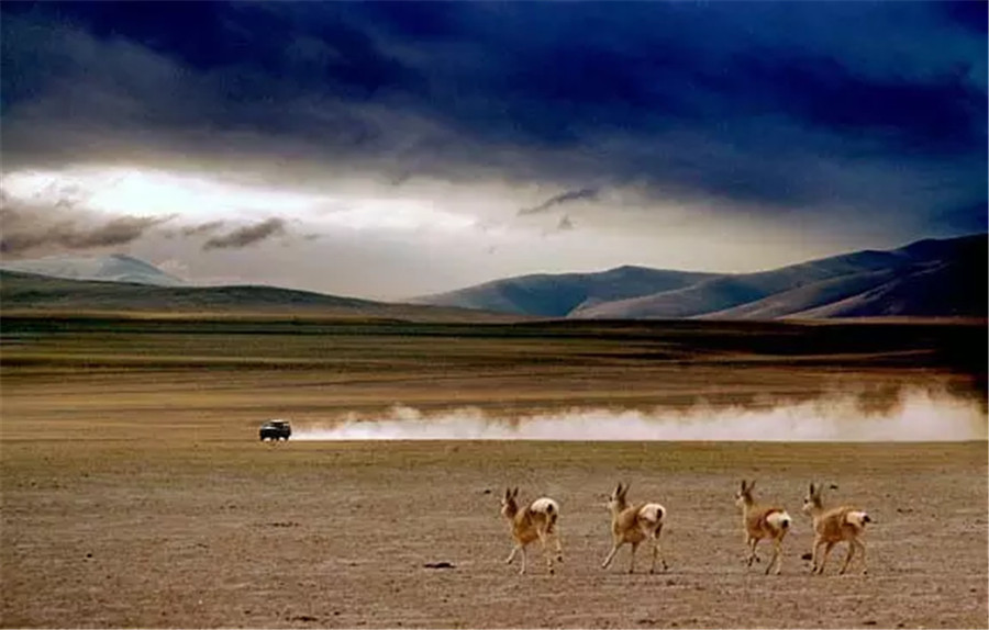 La beauté sauvage de quatre régions désertes en Chine