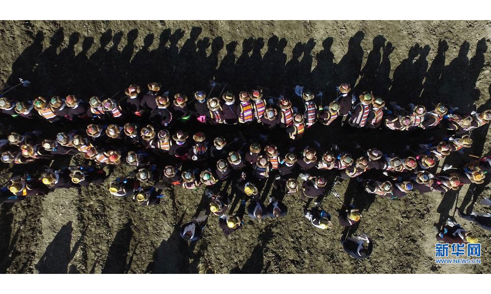 Voir le labourage de printemps du Tibet de la perspective du ciel